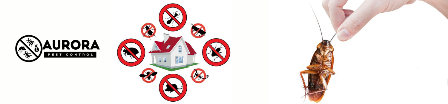 Aurora Pest Control Services